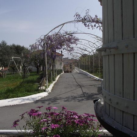 Riviera Apartments Pietra Ligure Exterior photo