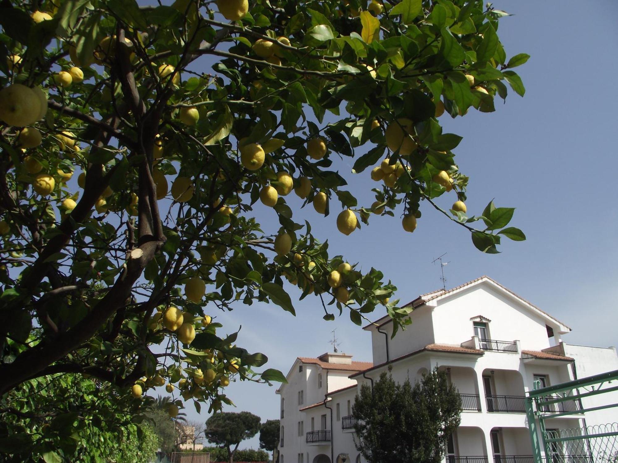Riviera Apartments Pietra Ligure Exterior photo